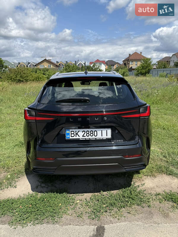 Внедорожник / Кроссовер Lexus NX 2022 в Киеве