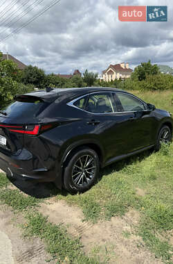 Внедорожник / Кроссовер Lexus NX 2022 в 