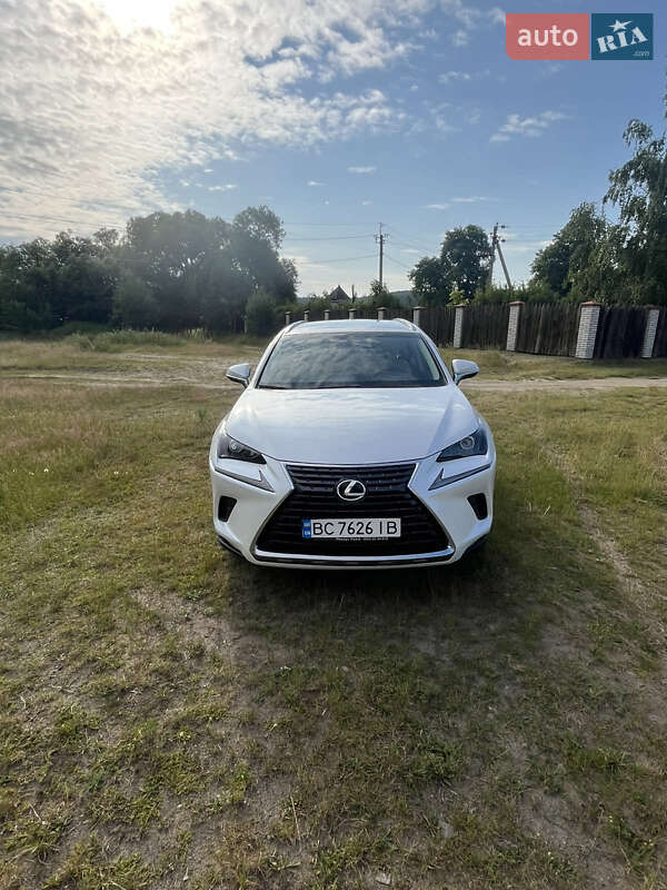 Внедорожник / Кроссовер Lexus NX 2019 в 