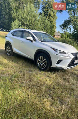 Внедорожник / Кроссовер Lexus NX 2019 в 