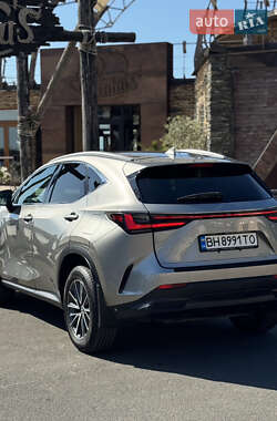 Внедорожник / Кроссовер Lexus NX 2022 в 