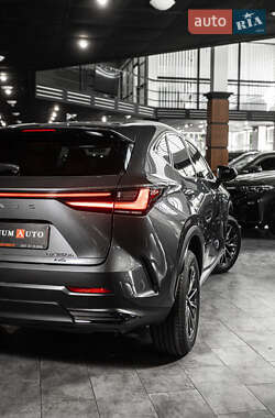 Внедорожник / Кроссовер Lexus NX 2024 в 