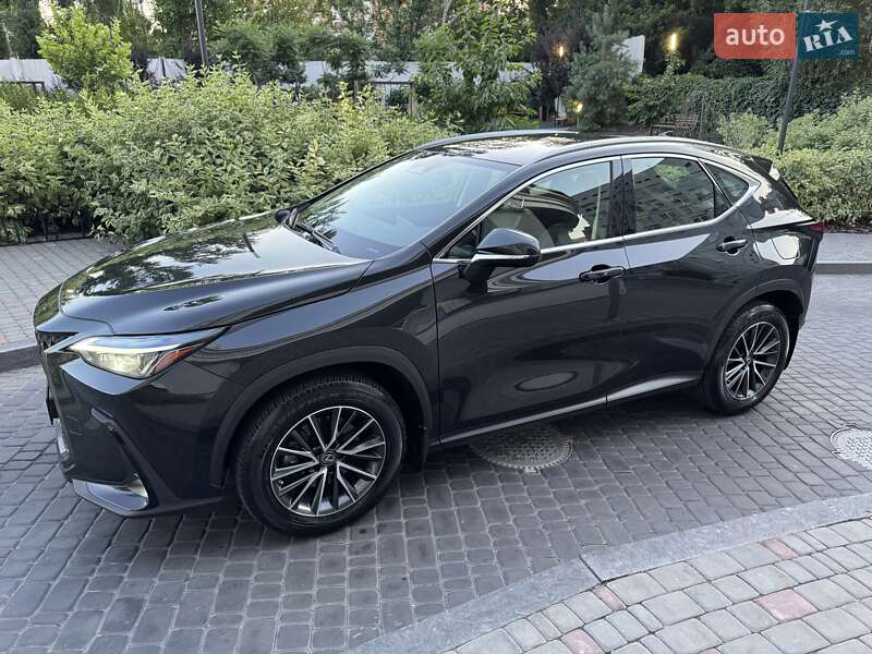 Внедорожник / Кроссовер Lexus NX 2022 в Киеве фото 12 Внедорожник / Кроссовер Lexus NX 2022 в Киеве