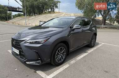 Внедорожник / Кроссовер Lexus NX 2024 в 
