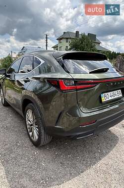 Внедорожник / Кроссовер Lexus NX 2023 в 