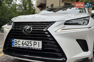 Внедорожник / Кроссовер Lexus NX 2019 в 
