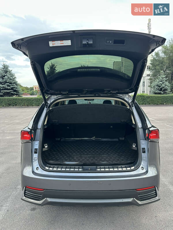 Внедорожник / Кроссовер Lexus NX 2017 в Каменском фото 20 Внедорожник / Кроссовер Lexus NX 2017 в Каменском