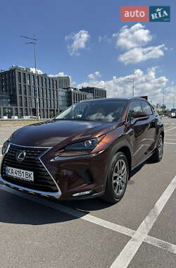 Внедорожник / Кроссовер Lexus NX 2020 в 