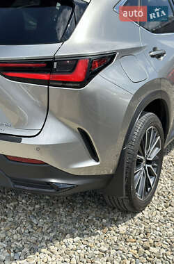 Внедорожник / Кроссовер Lexus NX 2024 в 
