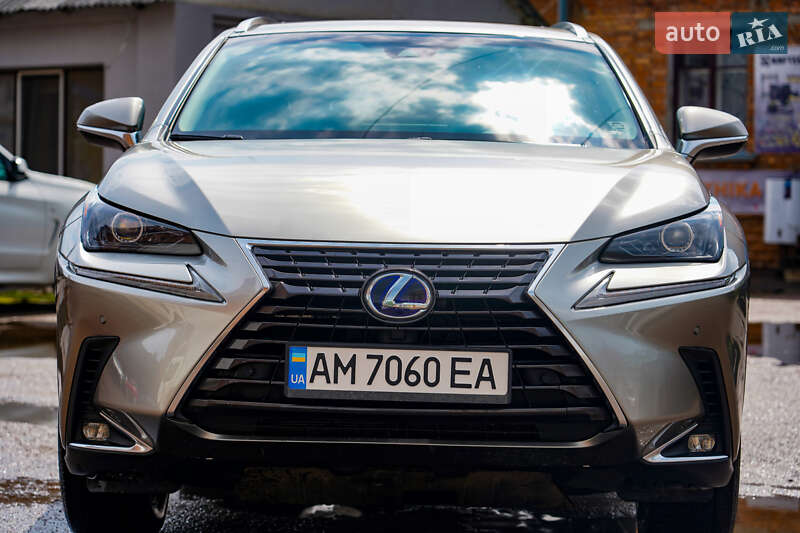Позашляховик / Кросовер Lexus NX 2019 в Житомирі
