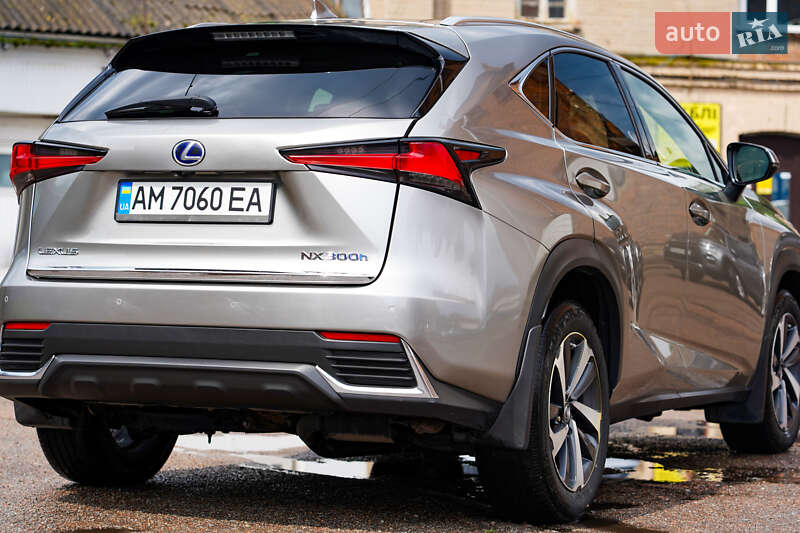 Позашляховик / Кросовер Lexus NX 2019 в Житомирі