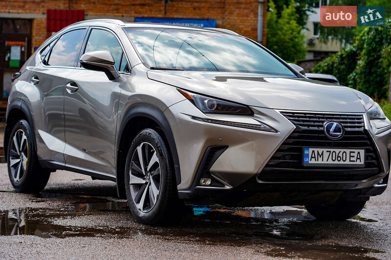 Позашляховик / Кросовер Lexus NX 2019 в Житомирі