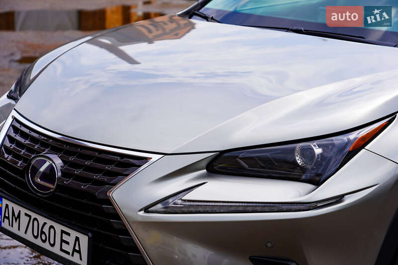 Позашляховик / Кросовер Lexus NX 2019 в Житомирі