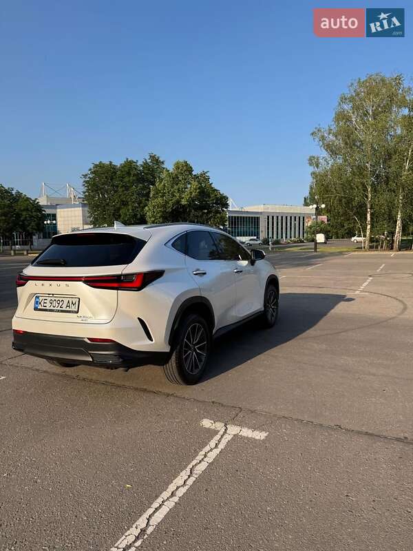 Внедорожник / Кроссовер Lexus NX 2024 в Кривом Роге