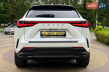 Внедорожник / Кроссовер Lexus NX 2023 в 