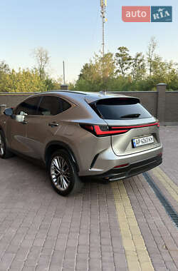 Внедорожник / Кроссовер Lexus NX 2022 в 