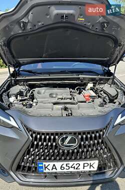 Внедорожник / Кроссовер Lexus NX 2024 в 
