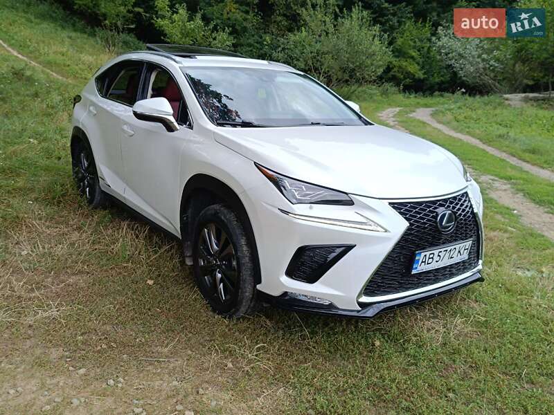 Внедорожник / Кроссовер Lexus NX 2019 в Виннице фото 15 Внедорожник / Кроссовер Lexus NX 2019 в Виннице