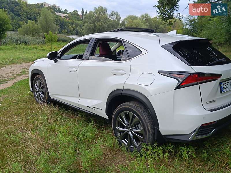Внедорожник / Кроссовер Lexus NX 2019 в Виннице фото 17 Внедорожник / Кроссовер Lexus NX 2019 в Виннице