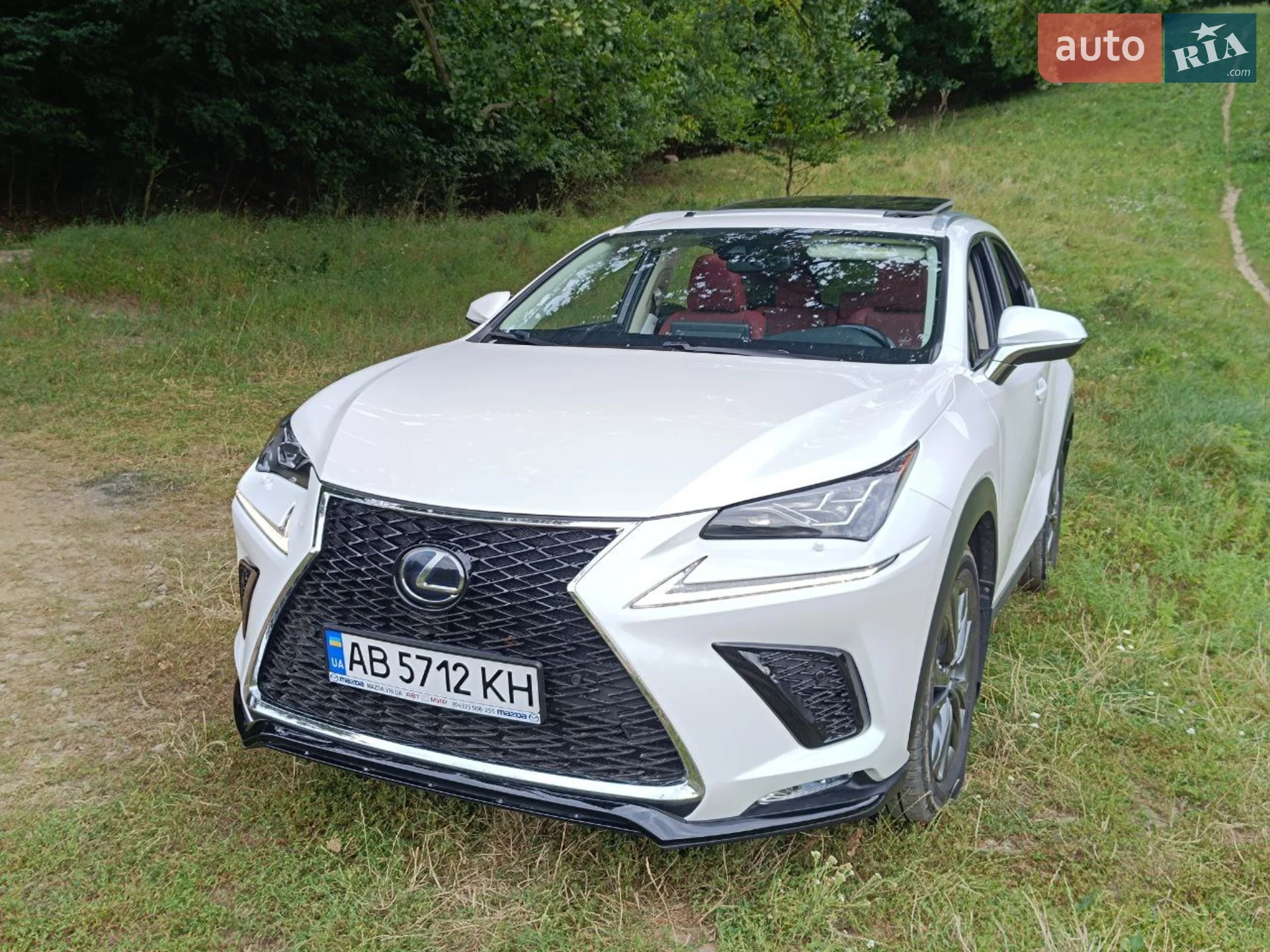 2019 Lexus NX - мініатюра 29