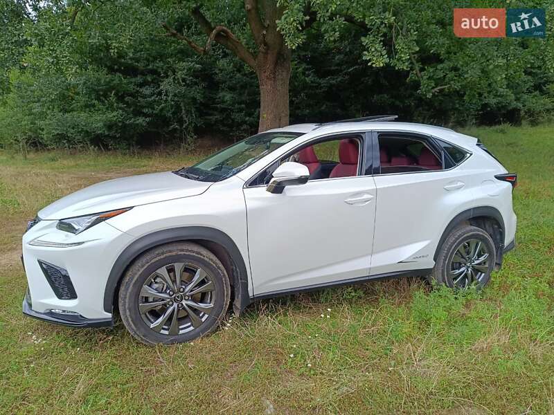 Внедорожник / Кроссовер Lexus NX 2019 в Виннице фото 31 Внедорожник / Кроссовер Lexus NX 2019 в Виннице