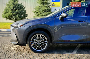 Позашляховик / Кросовер Lexus NX 2022 в 