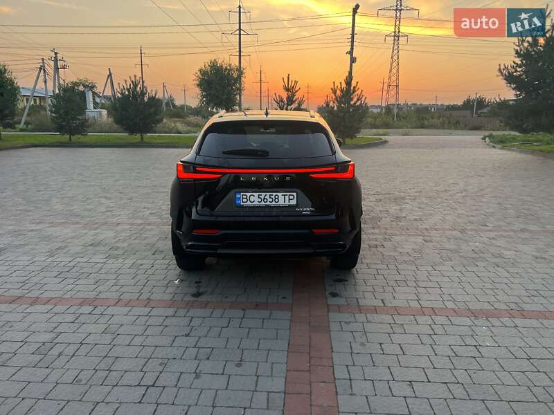 Внедорожник / Кроссовер Lexus NX 2022 в Солонке фото 7 Внедорожник / Кроссовер Lexus NX 2022 в Солонке