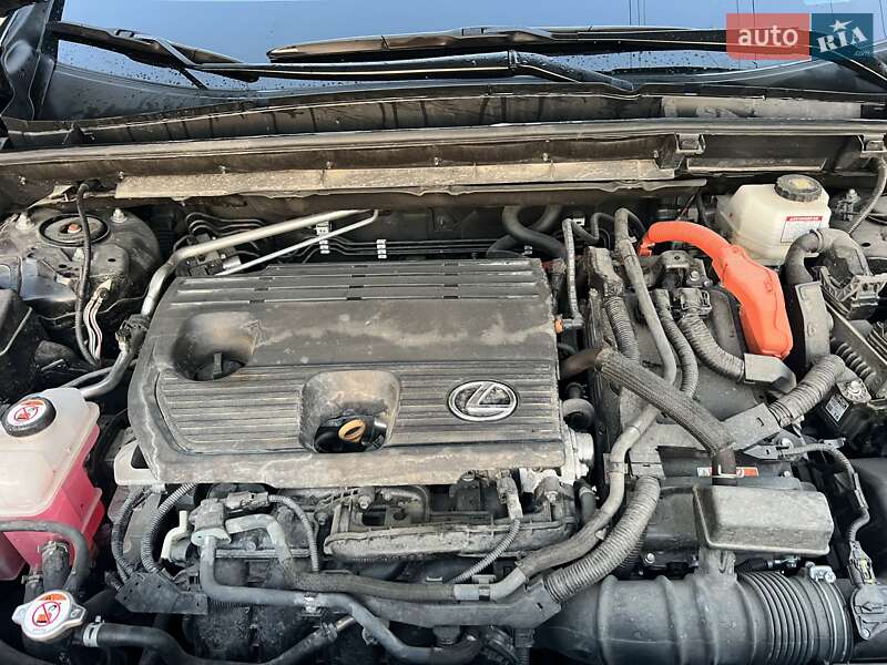 Внедорожник / Кроссовер Lexus NX 2022 в Солонке фото 36 Внедорожник / Кроссовер Lexus NX 2022 в Солонке