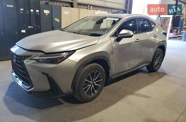 Lexus NX 2023