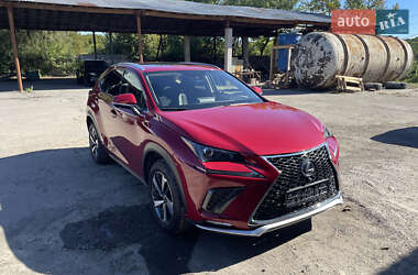 Позашляховик / Кросовер Lexus NX 2020 в 