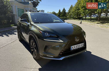 Позашляховик / Кросовер Lexus NX 2020 в 
