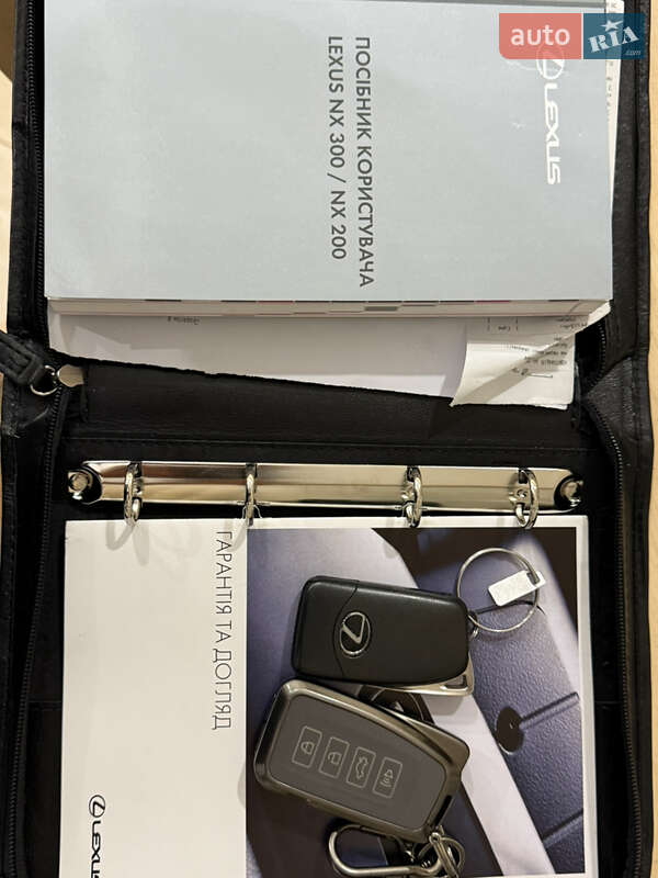 Внедорожник / Кроссовер Lexus NX 2020 в Умани