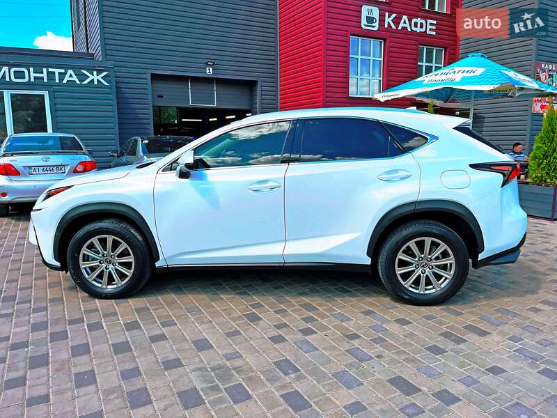 Внедорожник / Кроссовер Lexus NX 2019 в Киеве фото 7 Внедорожник / Кроссовер Lexus NX 2019 в Киеве