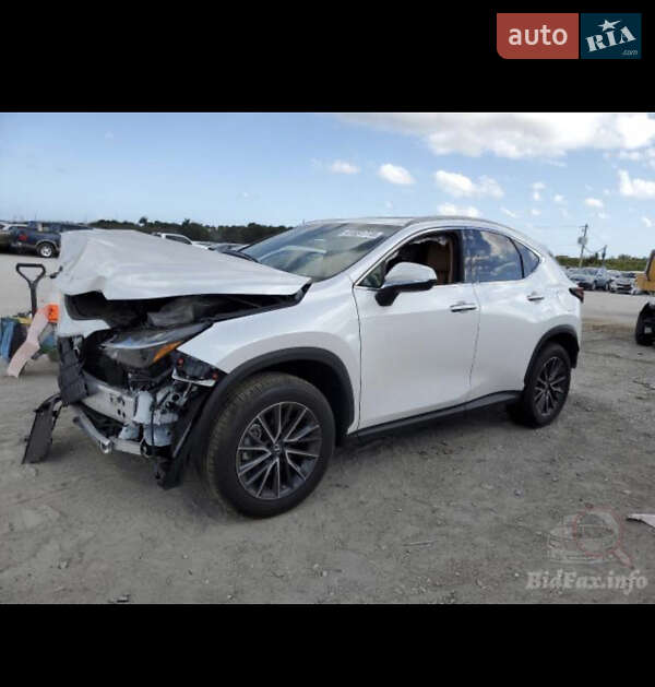 Позашляховик / Кросовер Lexus NX 2022 в Києві фото 60 Позашляховик / Кросовер Lexus NX 2022 в Києві