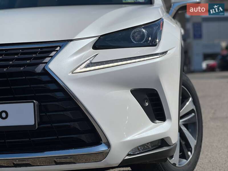 Внедорожник / Кроссовер Lexus NX 2020 в Одессе фото 11 Внедорожник / Кроссовер Lexus NX 2020 в Одессе