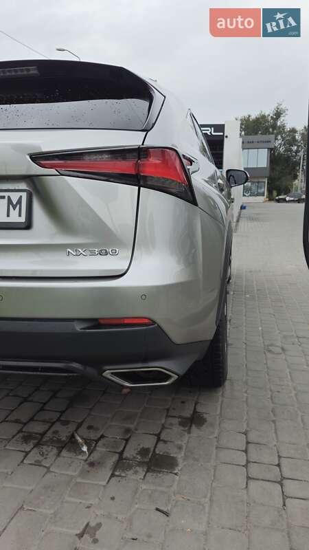 Позашляховик / Кросовер Lexus NX 2019 в Дніпрі фото 7 Позашляховик / Кросовер Lexus NX 2019 в Дніпрі