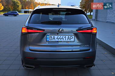 Позашляховик / Кросовер Lexus NX 2020 в Кременчуці