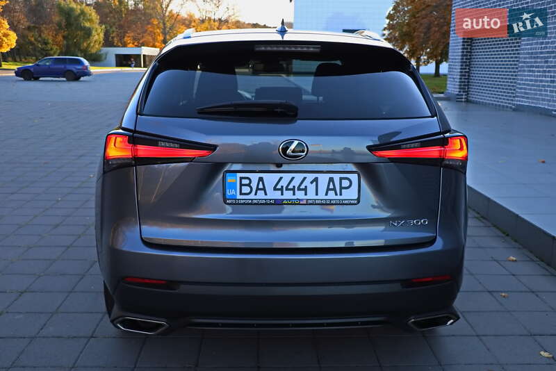 Позашляховик / Кросовер Lexus NX 2020 в Кременчуці фото 5 Позашляховик / Кросовер Lexus NX 2020 в Кременчуці