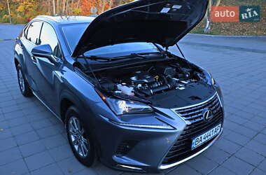 Позашляховик / Кросовер Lexus NX 2020 в Кременчуці