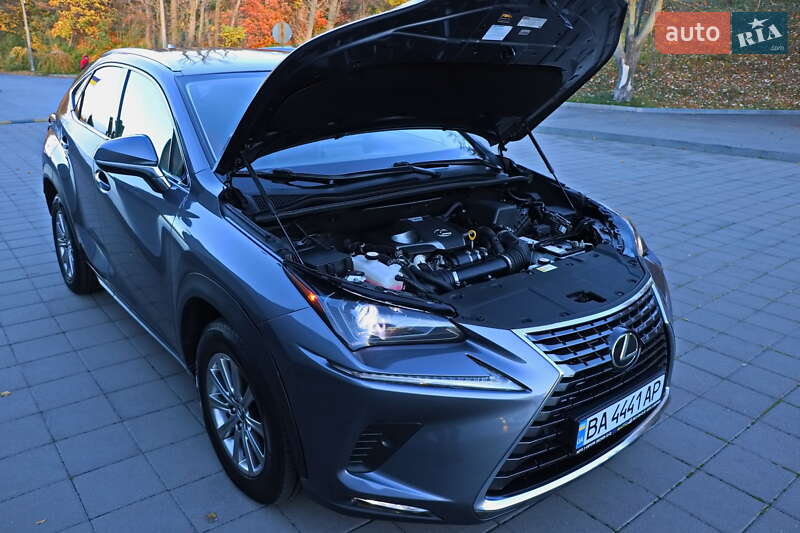 Позашляховик / Кросовер Lexus NX 2020 в Кременчуці фото 43 Позашляховик / Кросовер Lexus NX 2020 в Кременчуці
