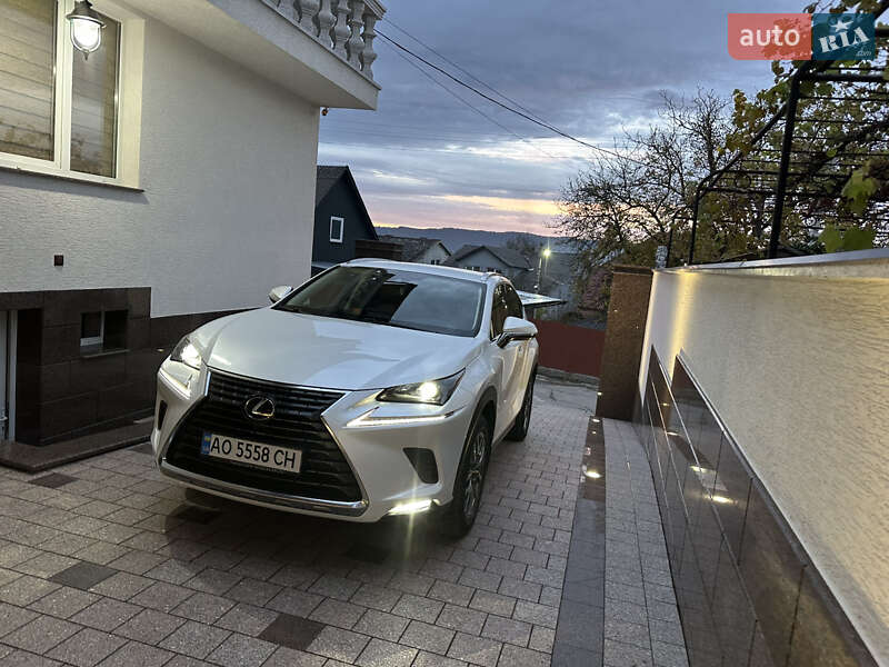 Позашляховик / Кросовер Lexus NX 2021 в Тячеві фото 2 Позашляховик / Кросовер Lexus NX 2021 в Тячеві