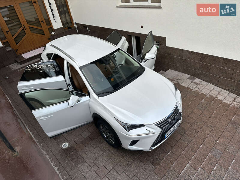 Позашляховик / Кросовер Lexus NX 2021 в Тячеві фото 30 Позашляховик / Кросовер Lexus NX 2021 в Тячеві