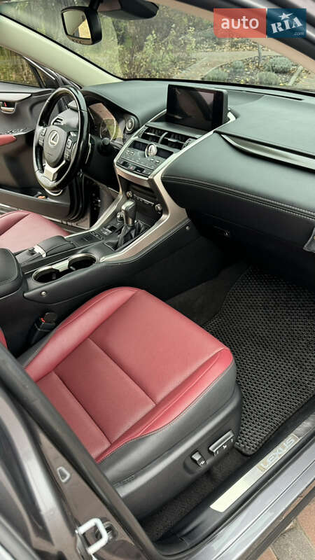 Позашляховик / Кросовер Lexus NX 2020 в Павлограді фото 28 Позашляховик / Кросовер Lexus NX 2020 в Павлограді