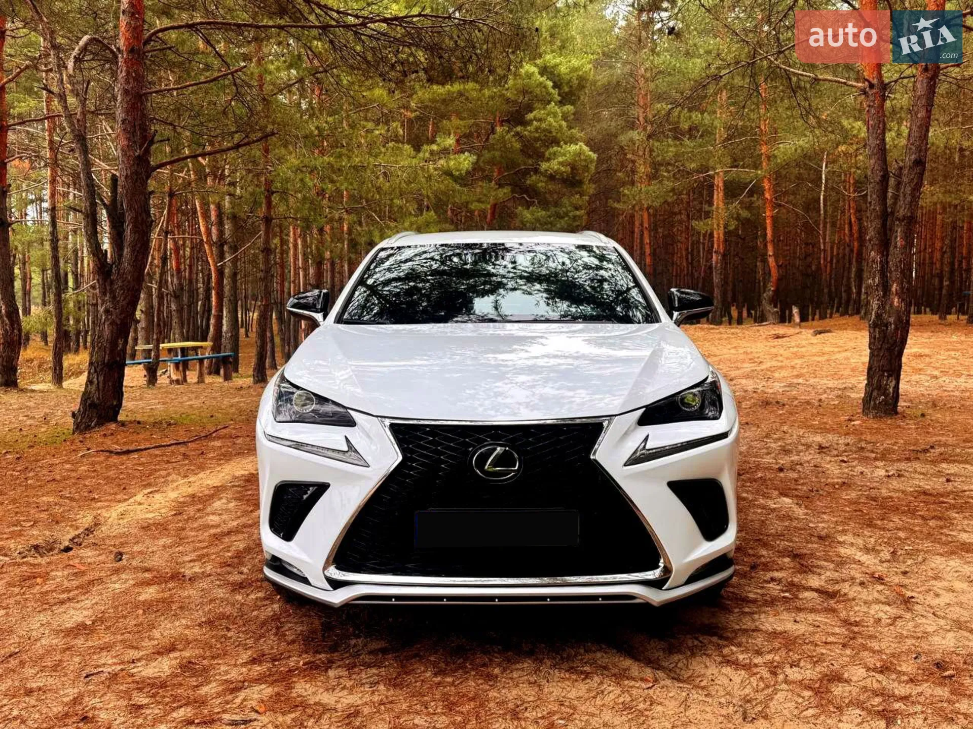 2018 Lexus NX - мініатюра 6