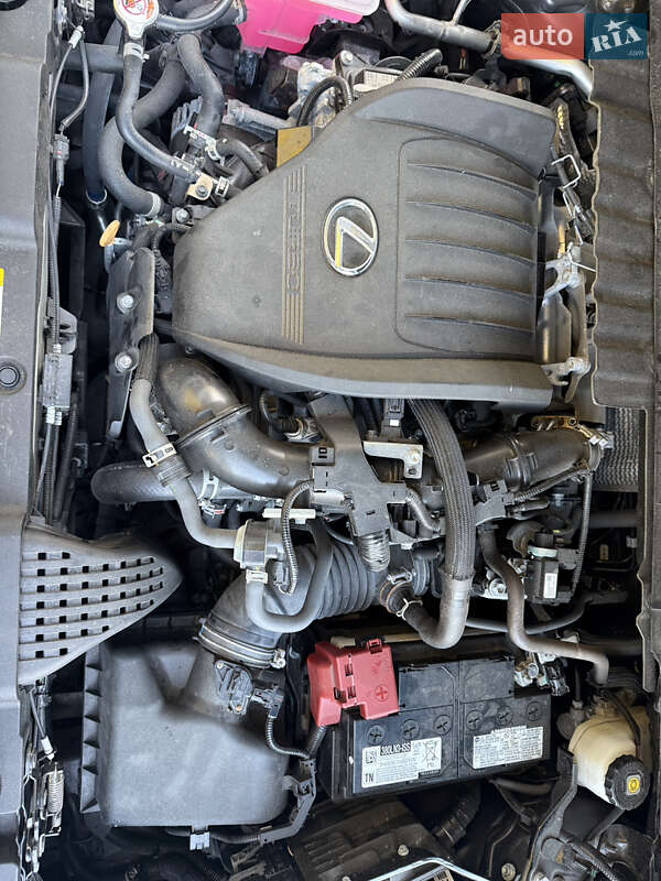 Внедорожник / Кроссовер Lexus NX 2023 в Киеве