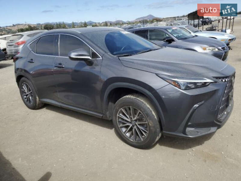 Позашляховик / Кросовер Lexus NX 2022 в Ізмаїлі