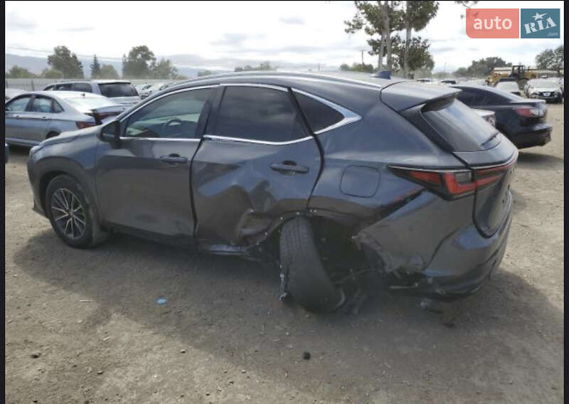 Позашляховик / Кросовер Lexus NX 2022 в Ізмаїлі