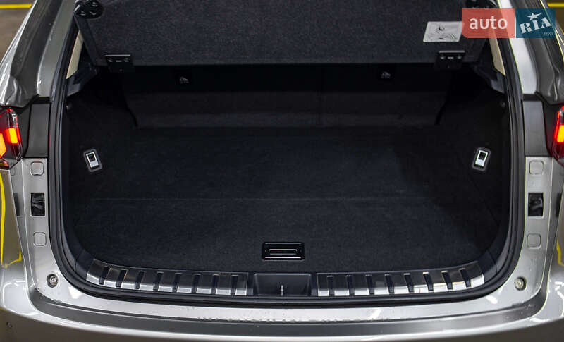 Внедорожник / Кроссовер Lexus NX 2020 в Днепре фото 43 Внедорожник / Кроссовер Lexus NX 2020 в Днепре