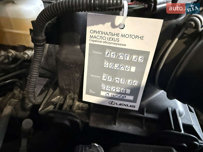 Внедорожник / Кроссовер Lexus NX 2020 в Ирпене фото 5 Внедорожник / Кроссовер Lexus NX 2020 в Ирпене