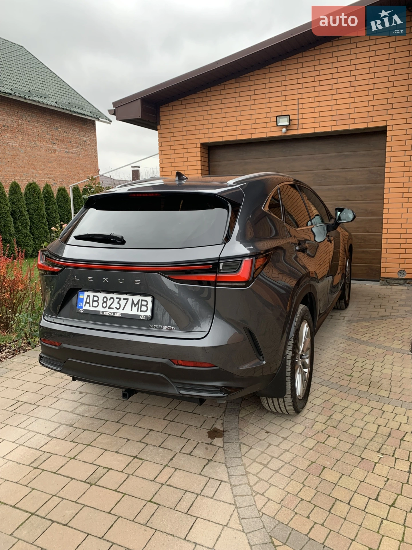 2022 Lexus NX - мініатюра 3